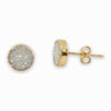 Jeanna Druzy Stud Earrings in Gold - Miraposa
